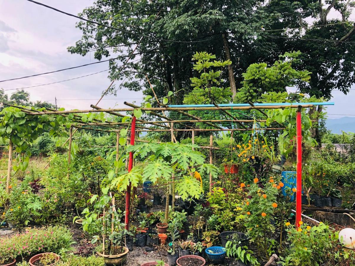 Atocha Homestay - Terong@Taiping Kampong Salak المظهر الخارجي الصورة